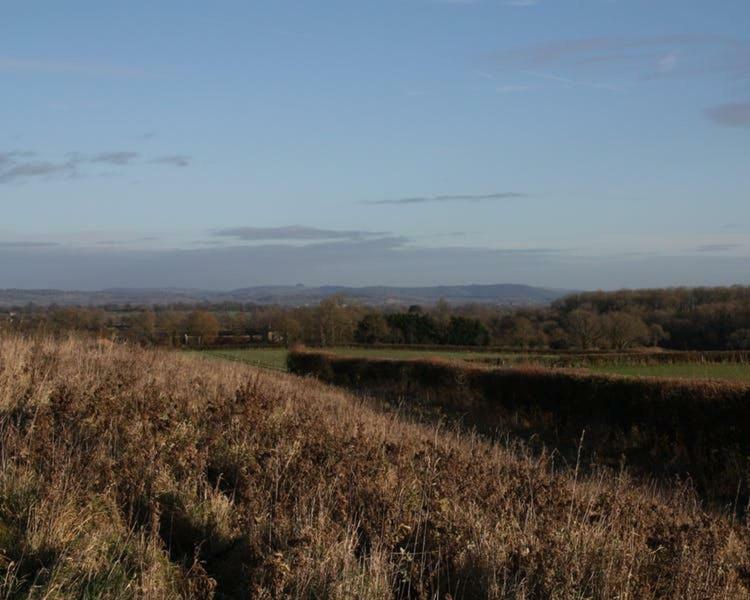 Cherry Orchard Farm South Wraxall Kültér fotó